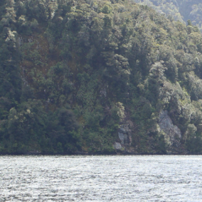 Looking at Doubtful Sound