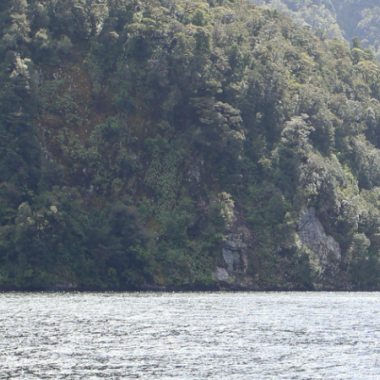 Looking at Doubtful Sound