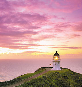 North Island Guided Tours