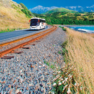 scenic coach tours new zealand