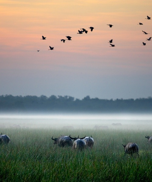 australia-off-the-beaten-path