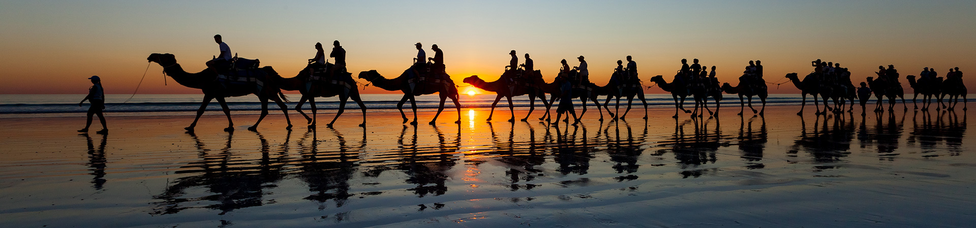 Camels on beach in Australia
