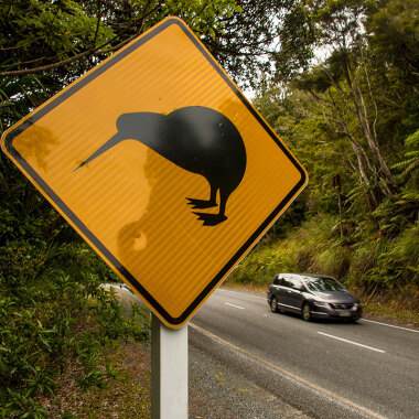 Car on New Zealand road with kiwi signpost