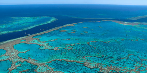 Great Barrier Reef by plane