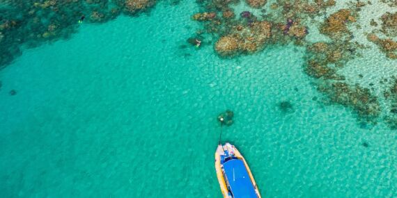 Snorkelling, Great Barrier Reef