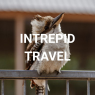 Intrepid Travel Tours