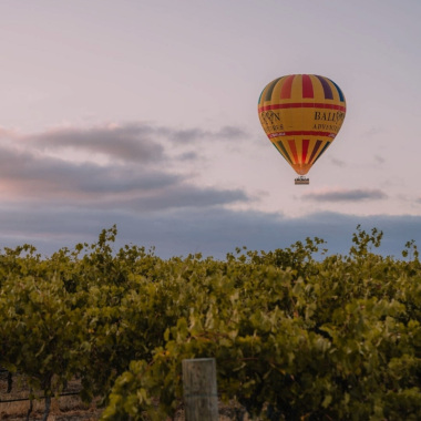 Food and wine tours australia