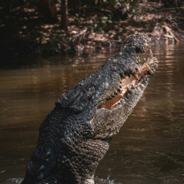 Australian Adventure Tours
