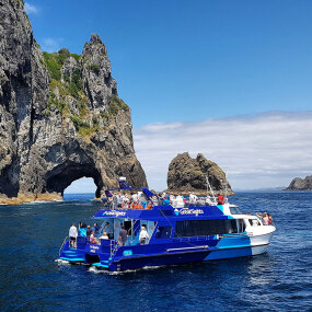 Hole in the Rock boat cruise Northland New Zealand