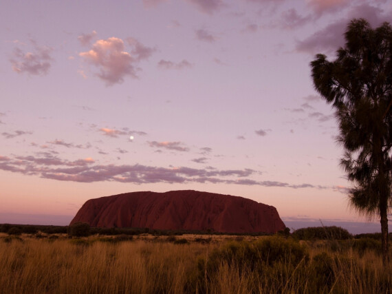 Uluru and the red center tours