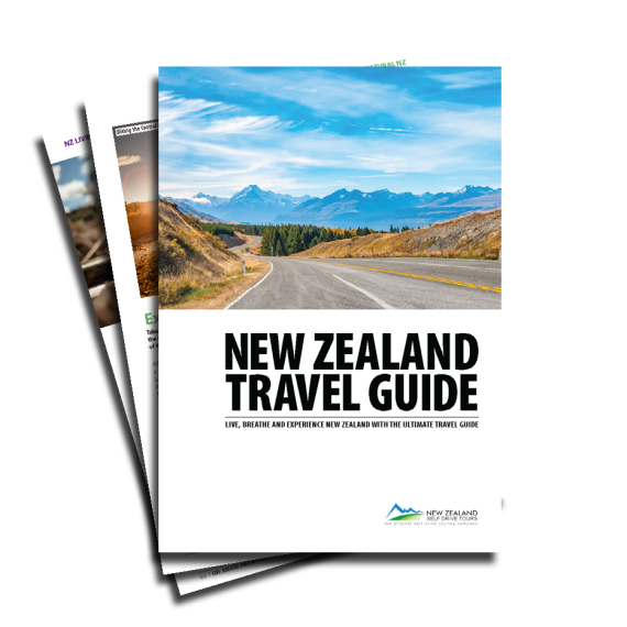 New Zealand Travel Guide
