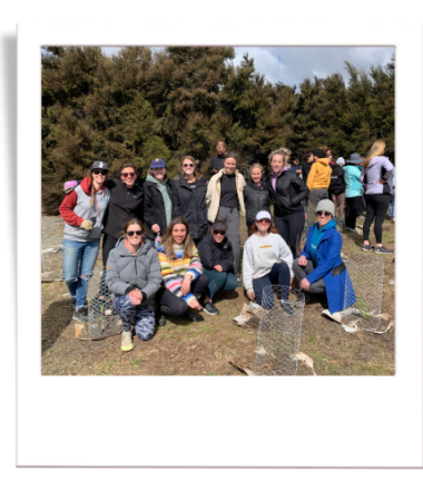 NZFT Employees helping plant tree's for Love Wanaka