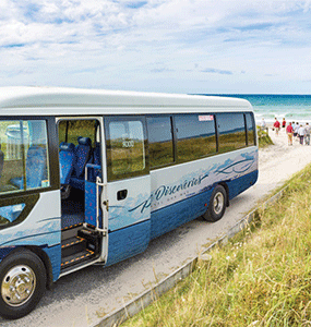 Pure Discoveries Small Coach at the beach