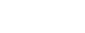 NZ Road Trip