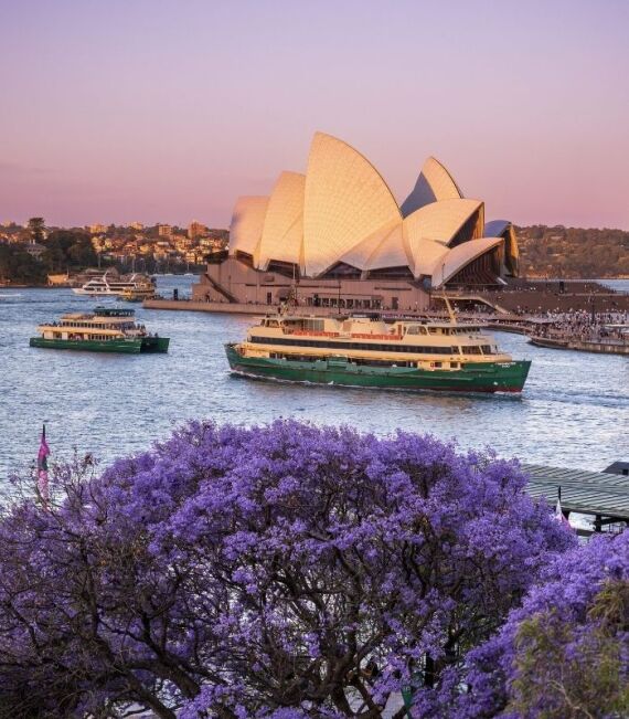 Sydney rugby world cup tours