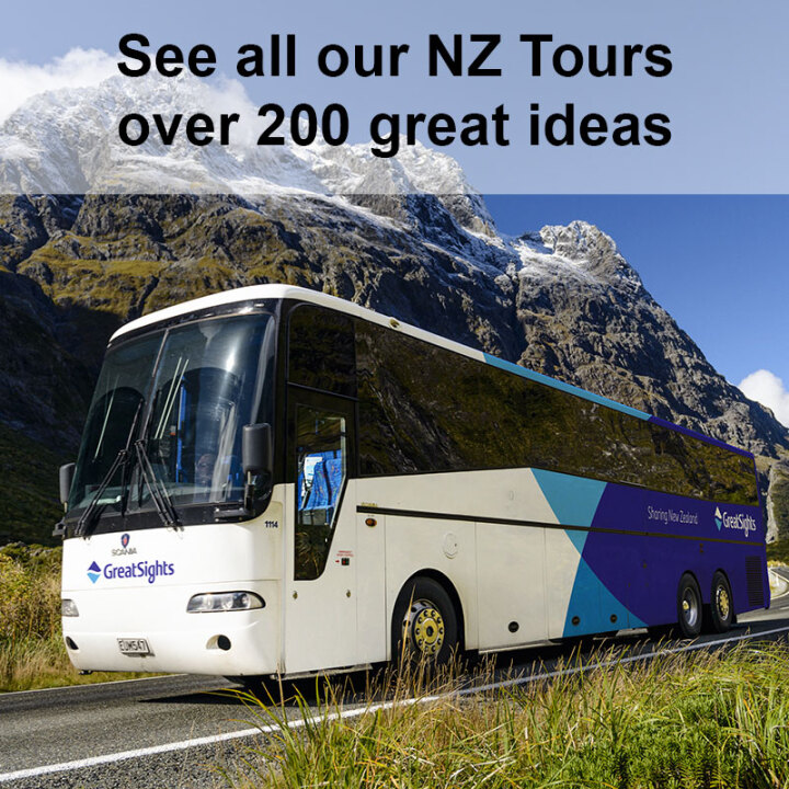 New Zealand Tours Daily Departure Bus & Coach Tour Packages