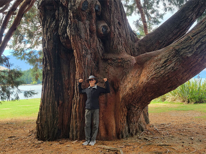 Jeff by a large New Zealand Tree