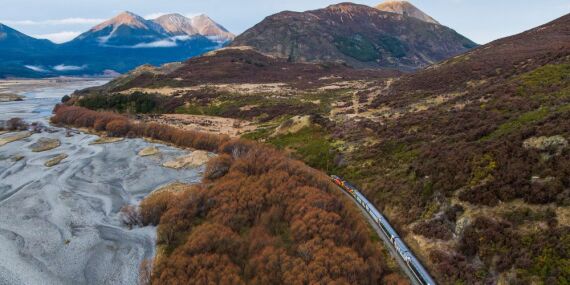 TranzAlpine Train in the South Island