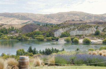 Southern South Island Highlights - Day 2 Southern South Island Highlights - Day 2