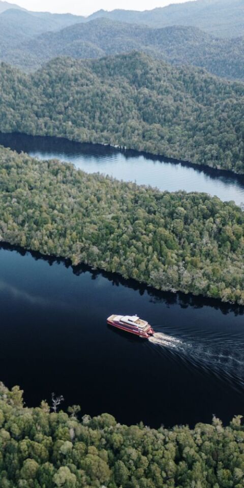 Gordon River with boat