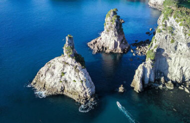 Cathedral Cove Boat Tour