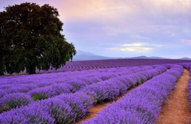 See all of New Zealand with a tailor-made package holiday