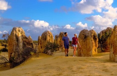 Explore New Zealand with these great holiday ideas
