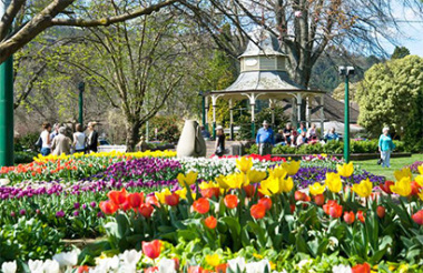 Experience the best of New Zealand with these touring ideas