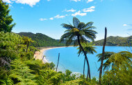 Anchorage/ Pitt Head: Extended cruise to Totaranui with Wilsons Abel Tasman National Park