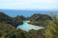 Abel Tasman Water and Walk Tour with Wine, Art & Wilderness - Includes Lunch