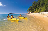 Kayak Abel Tasman and Pitt Head Nature Loop