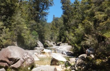 Abel Tasman Water and Walk Tour with Wine, Art & Wilderness - Includes Lunch