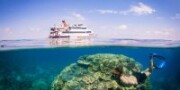 Reef Encounter - Stateroom