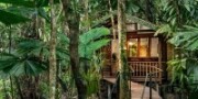 Daintree Wilderness Lodge