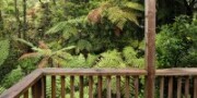 Punakaiki Treehouse