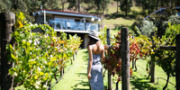 Araluen Boutique Accommodation