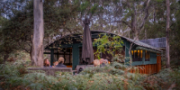 White Gums Camp
