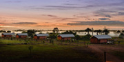 Murwangi Safari Camp (or similar)