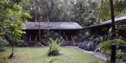 Heritage Lodge in the Daintree