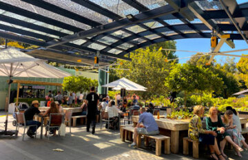 Iconic Australian Wildlife and Nature Tour - Day 5