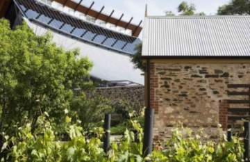 The Indian Pacific Rail, Coast & Vines Tour - Day 6