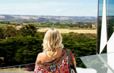 McLaren Vale & The Cube Experience with Adelaide Sightseeing - Includes Lunch