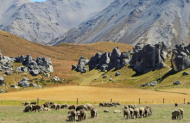 Explore Arthur’s Pass & Castle Hill: A Scenic Day Tour with Adventure by Nature - Picnic lunch included