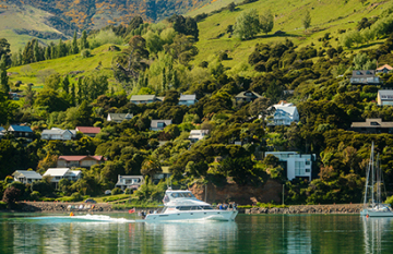 Southern Coast and Stewart Island Nature Tour - Day 2