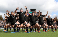 All Blacks Experience