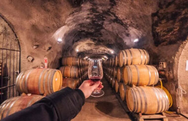 Wine Sampler Tour with Altitude Tours