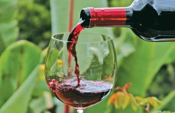 Taste of New Zealand - Day 2