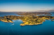 Waiheke Island Private Day Tour with Ananda Black