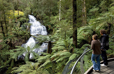 Discover everything New Zealand has to offer with these great vacation packages