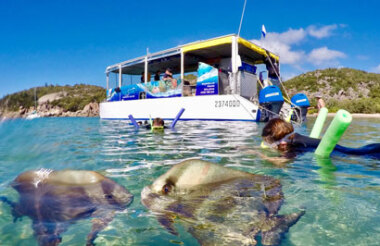 Maggie Discovery Eco Tour with Aquascene Magnetic Island